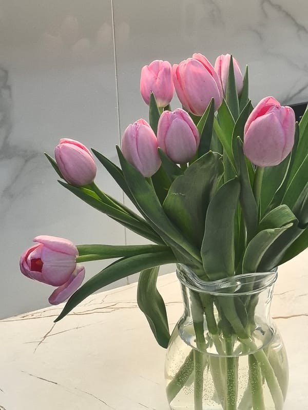 Pink tulips displayed in transparent vase in Perm