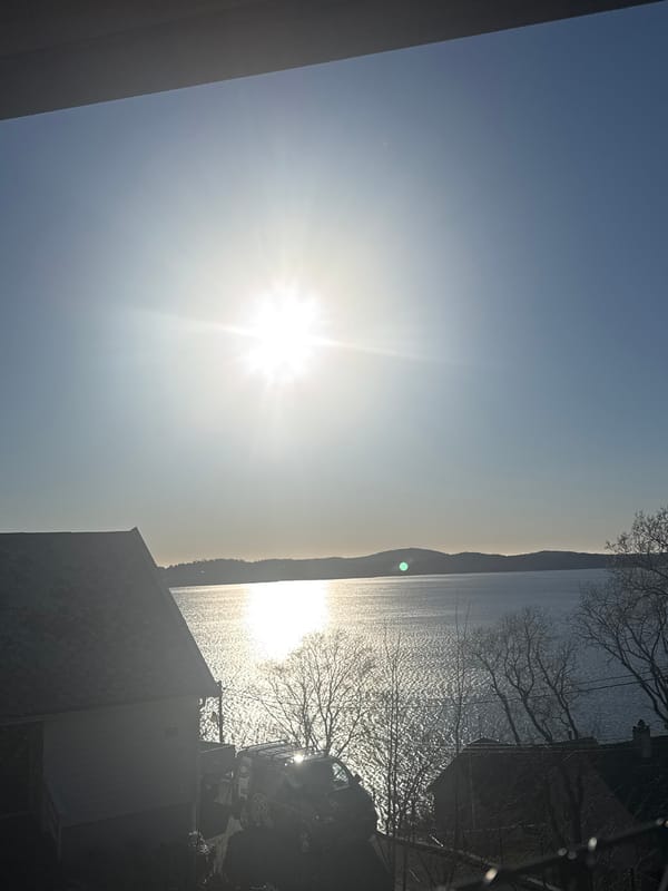 Sunlight reflects over Bergen fjord waters during afternoon hours