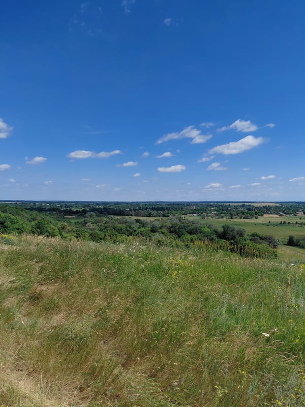 Rustic hilltop lookout with sunflower fields, Ustyvytsia, Ukraine