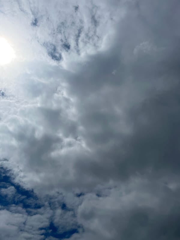 Mixed indoor-outdoor scenes captured during overcast morning hours