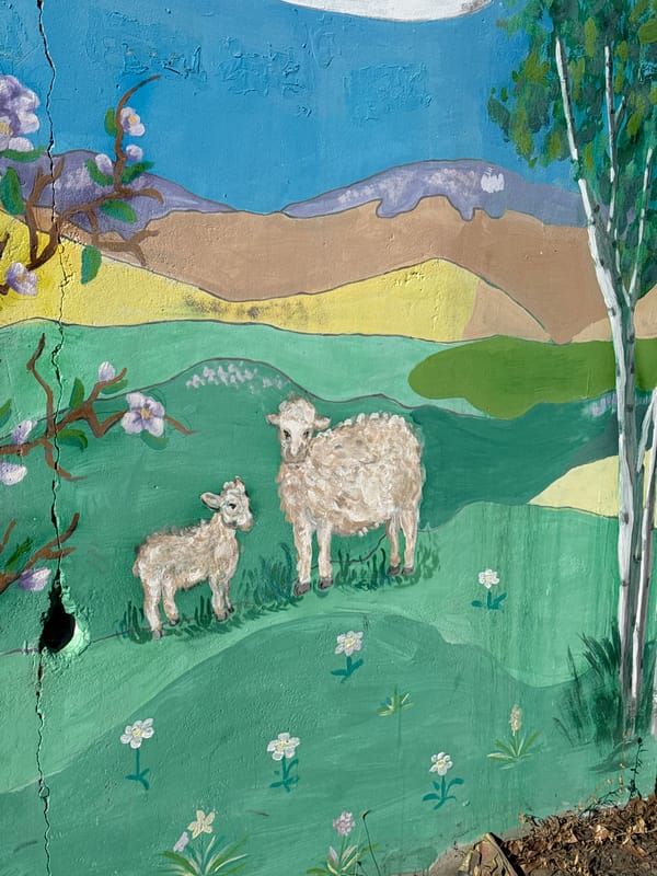 Late night scenes captured in Borzya: mural and dogs