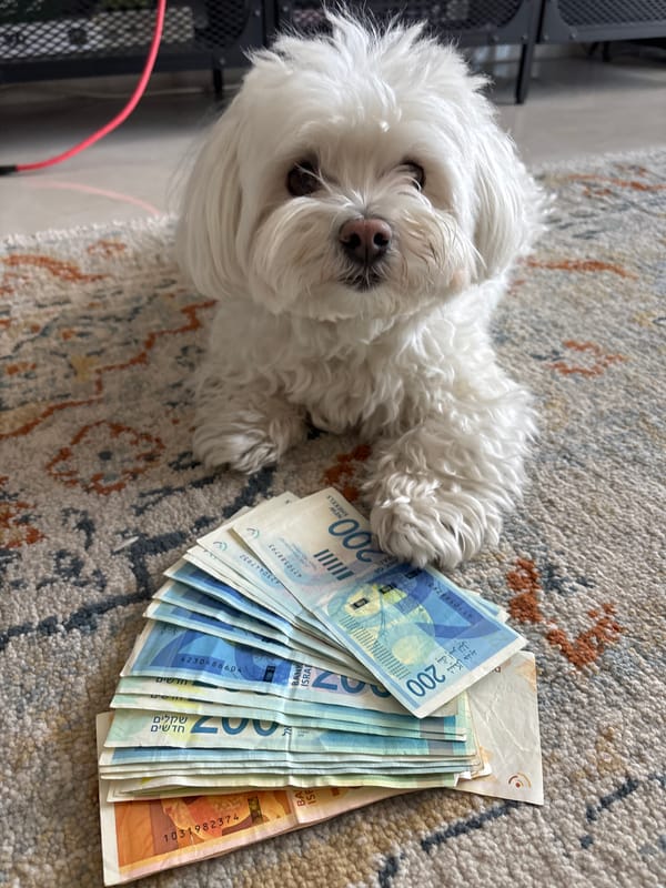Small white dog rests on rug in Bat Yam