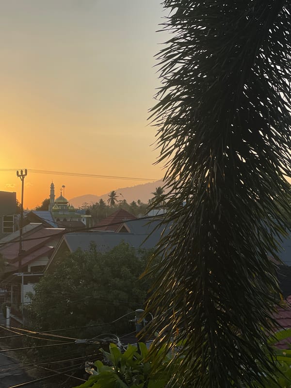 Golden hour over Manado, mosque and rooftops in view