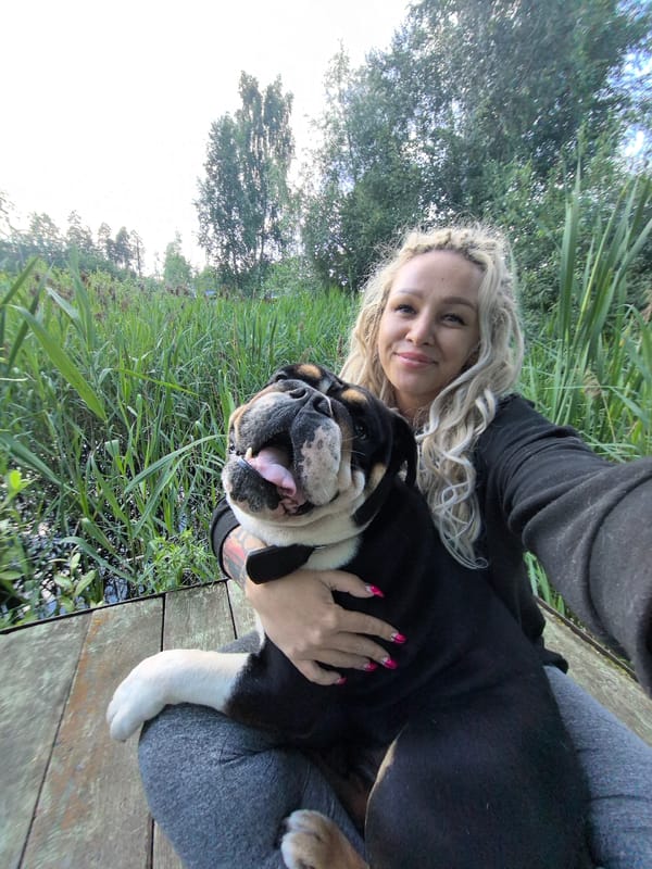 Afternoon on a Russian deck with a bulldog and a vivid sunset sky