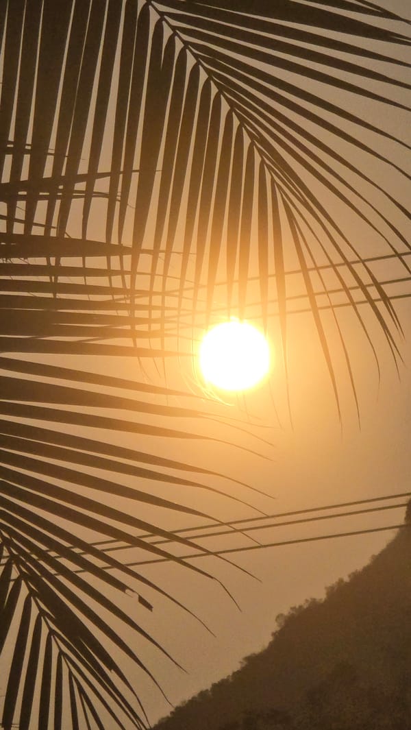 Golden hour moments captured across Bắc Nha Trang streets