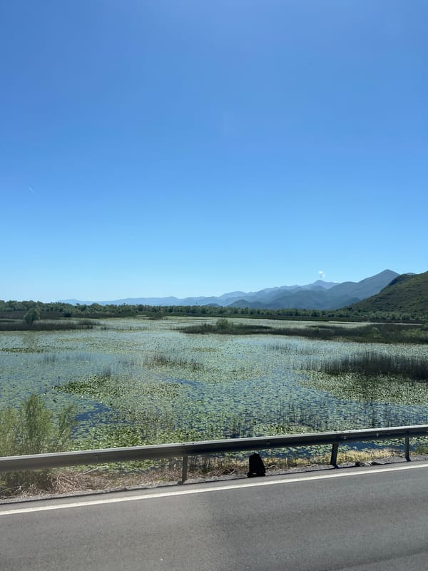 Train journey through Bistrice captures lake views, local architecture