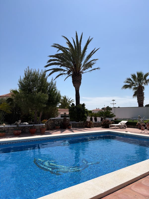 Dog lounges by pool during cleaning in Spanish village