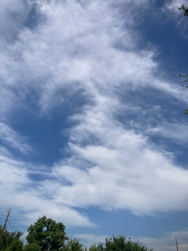 Garden life and summer skies in rural Rakity