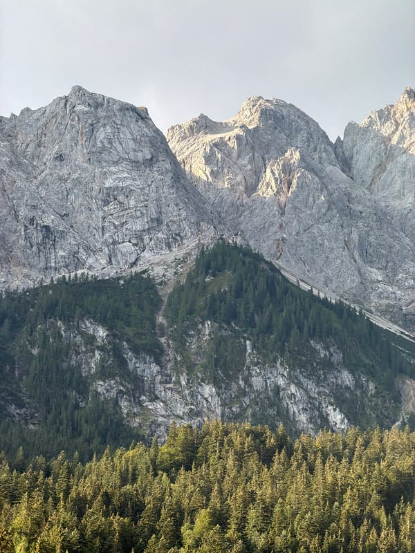 Zugspitze at dawn: rock faces, pine forest, and cable car towers