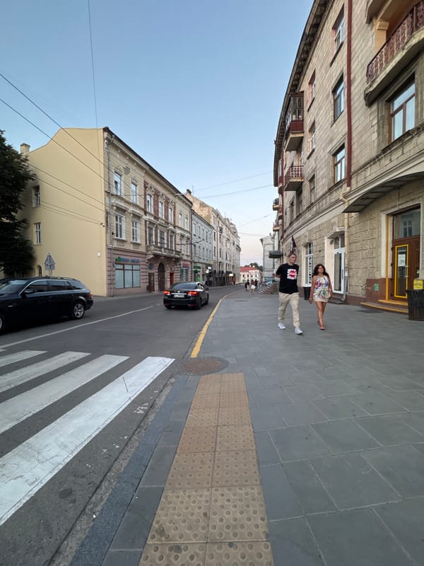 Evening streets of Chernivtsi, red lily and city blocks