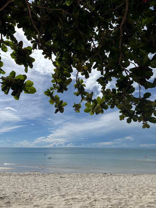 Chaweng Beach resort grounds and shoreline, midday