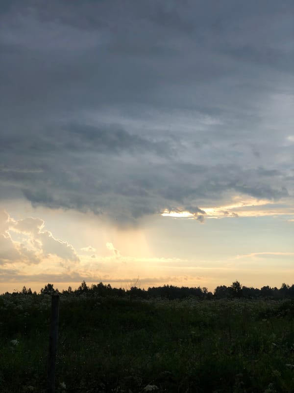 Rural Zhukovo resident documents stormy weather and thriving gardens