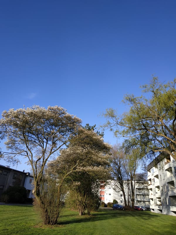 Morning park scene captured in Dortmund under clear skies