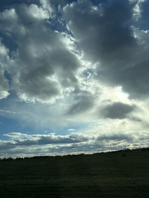 Dramatic clouds and sunlight observed over Russian countryside