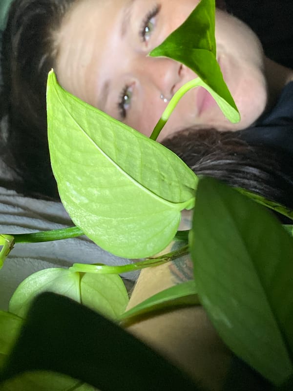 Chaikovsky self-portrait session with plants, drinks, and texture