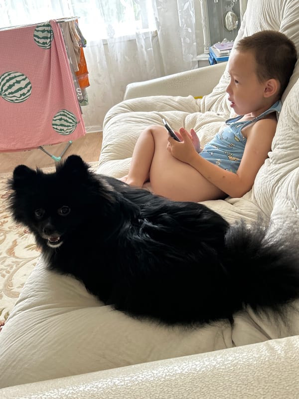 Phone scrolling on a white sofa with a big black dog