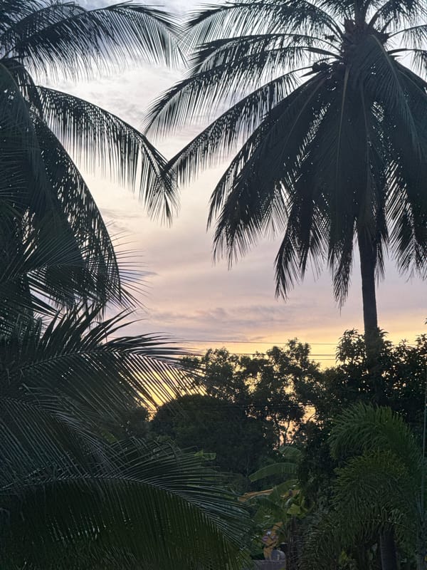 Tropical garden sunset, Ko Samui