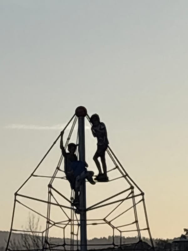Sunday morning park life documented across Mexico City