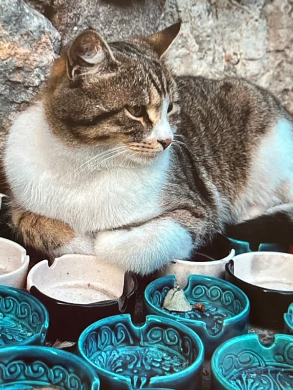 Lazy afternoon browsing a Mediterranean coastal town's market stalls