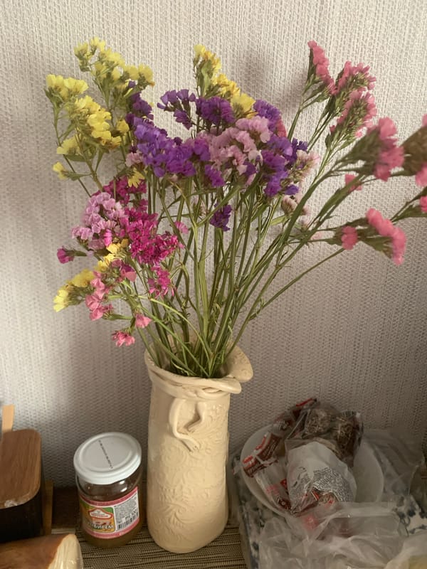 Quiet domestic morning in a Kapyĺ home