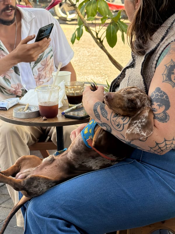 Everyday street life documented across Tel Aviv neighborhoods