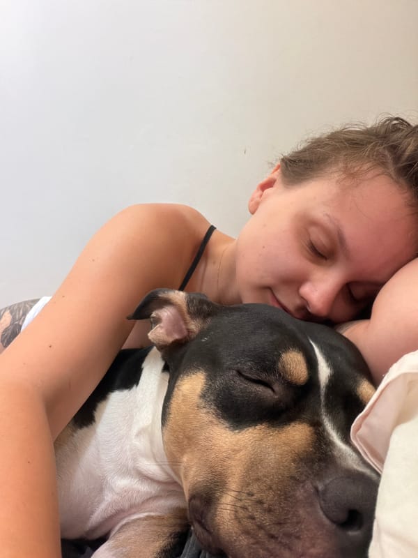 Sleeping-with-dog photo flagged with a bold 'FAKE' graphic