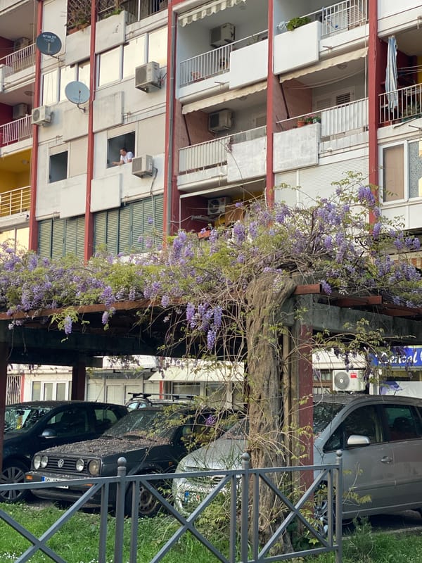 Spring afternoon scenes captured across Budva's parks and buildings