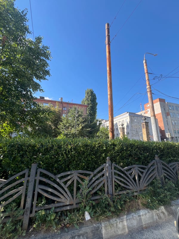 Dense green hedge lines a sunny Voronezh street