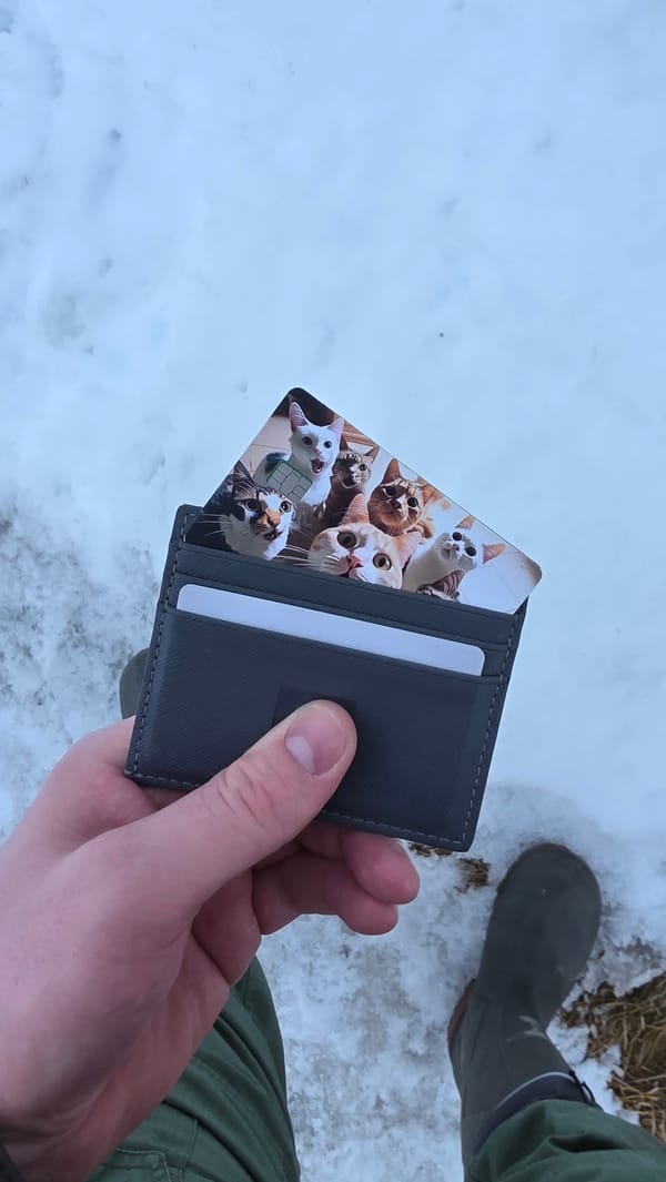 Person holds cat card wallet in snowy Russian conditions