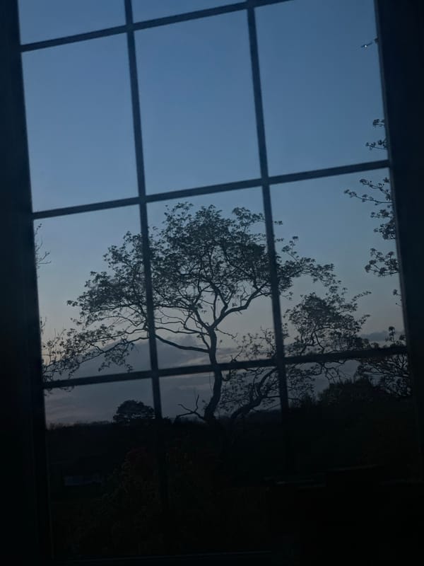 Woman and dog share quiet moment in Wealden home