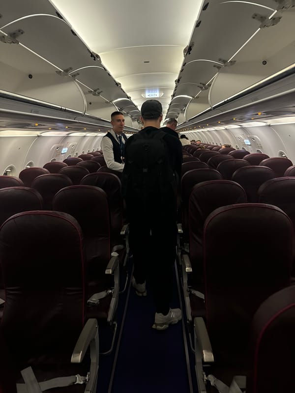 Airplane passengers and pet hamster observed in Khimki