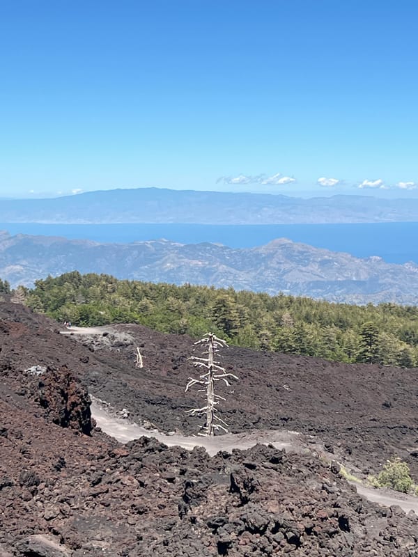 Mount Etna volcanic landscape tour near Linguaglossa, Sicily