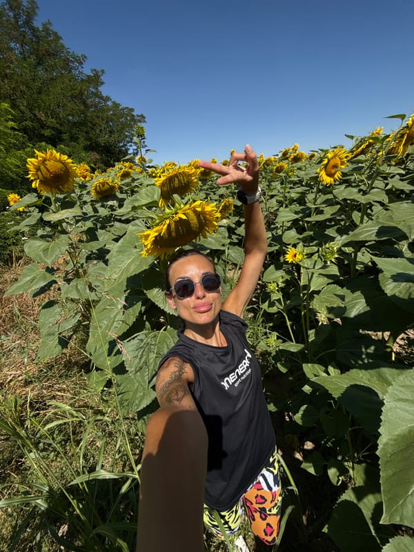 Sunflower field stop in rural Bulgaria, midsummer morning
