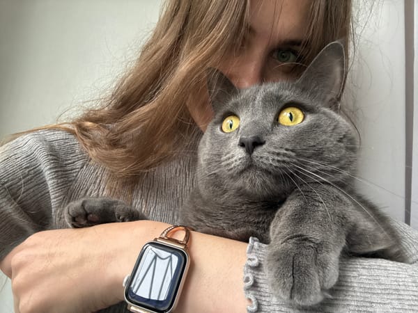 Woman documents playful moments with gray cat in Russia