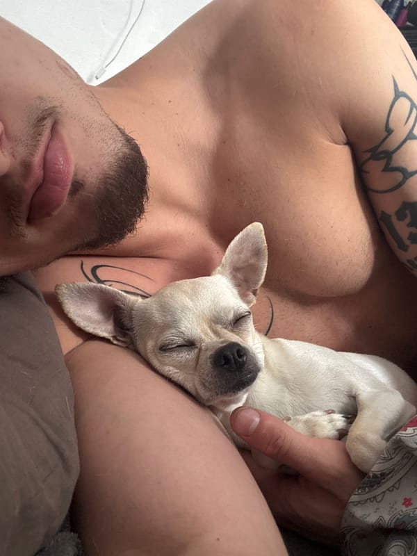 Chihuahua and tattooed owner share a lazy Sofia morning