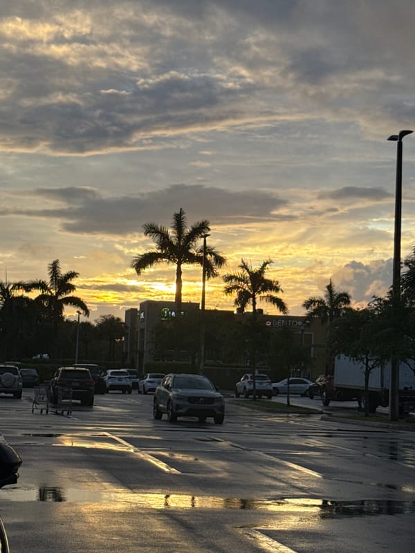 Diner captures ramen meal and Japanese murals at Dania Beach restaurant