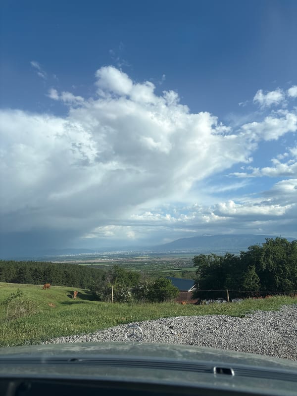 Traveler documents stormy road trip with dog companion