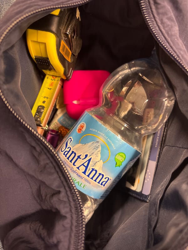 Milan resident participates in viral #PocketChallenge social media trend