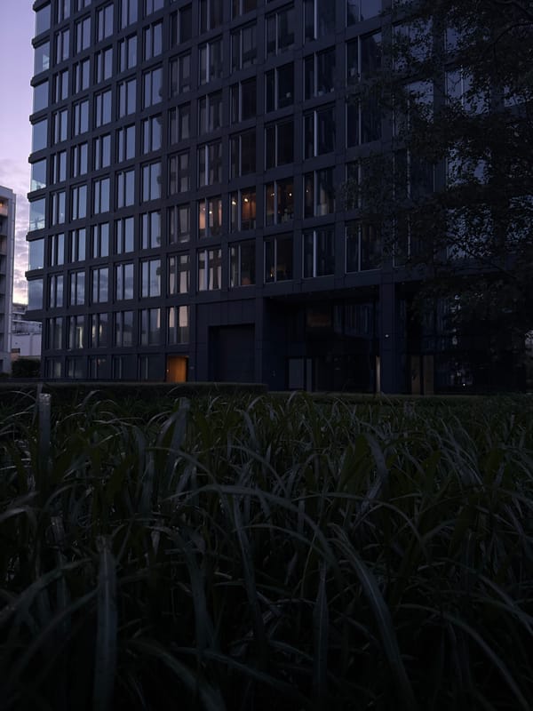 Evening views of modern office complex with landscaped courtyards