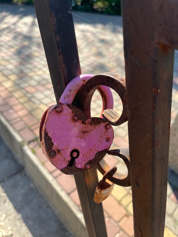 Park life captured: pigeons, dog walkers, love locks