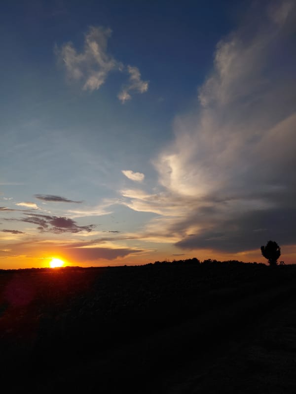 Rural sunset scenes with Ukrainian flags documented across farmland