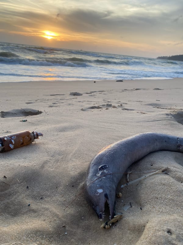Sunset beach activities and marine debris observed at Choeng Thale
