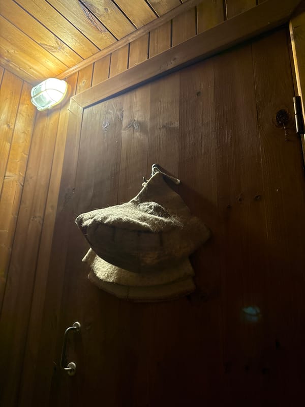 Traditional wooden sauna interior documented in Высокая Гора, Russia