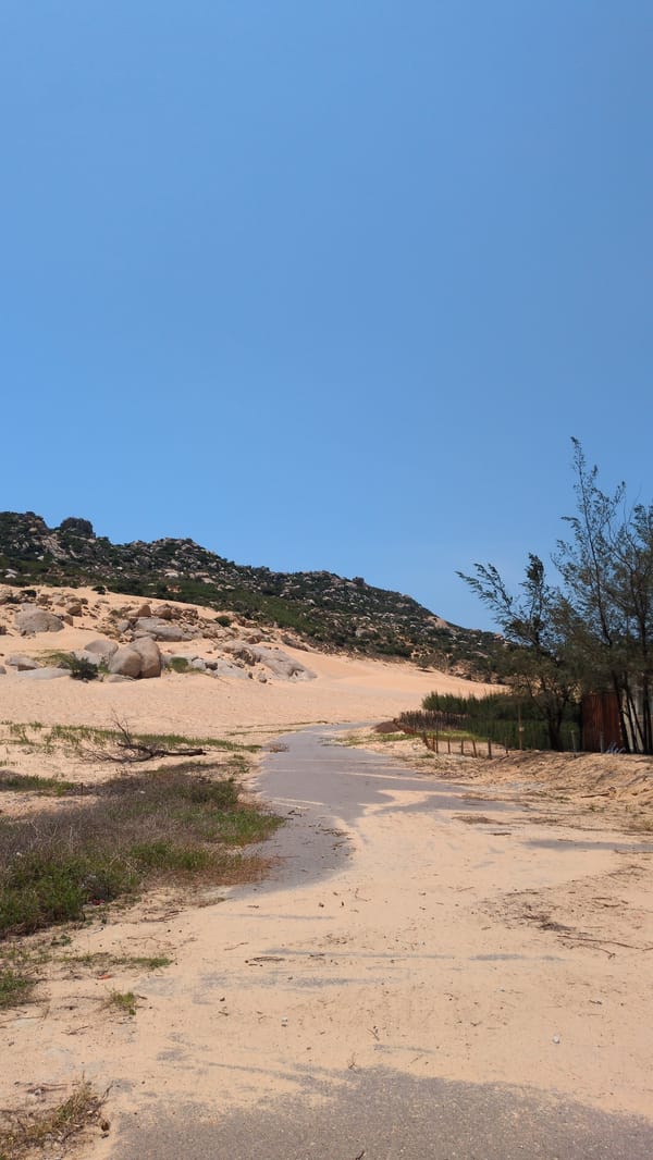 Early morning coastal road documentation in Phuoc Dinh, Vietnam