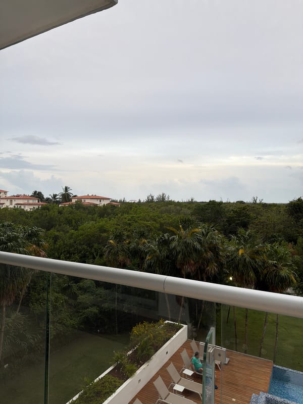 Evening view of modern towers and tropical landscape in Cancún
