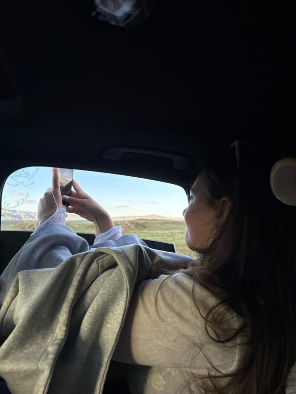 Woman observed in car with leather interior in Hrazdan