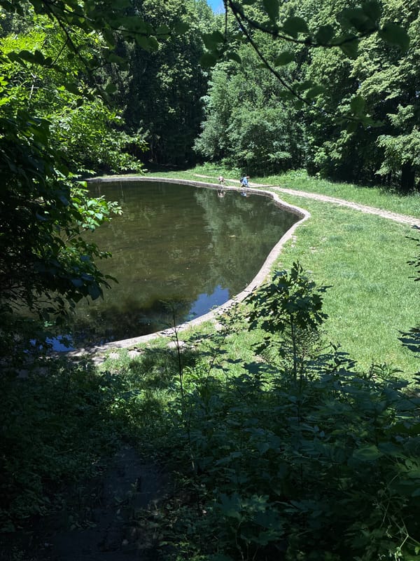 Morning park walk documented in Sofia's wooded areas