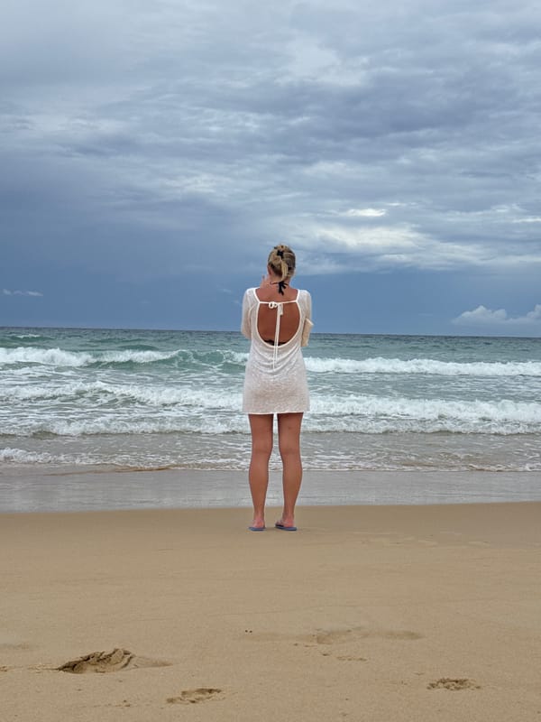 Dogs, birds, and quiet waves on a cloudy Karon Beach