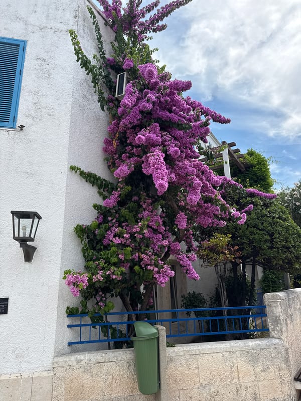 Summer morning stroll through Budva's old town streets