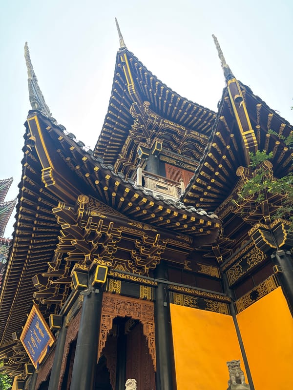 Chongqing's Yuzhong District blends temple heritage with urban street life